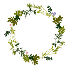 Flower Frame. Floral green wreaths. Forest herbs and flowers arranged in a wreath shape are ideal for wedding invitations and greeting cards. Meadow grasses.