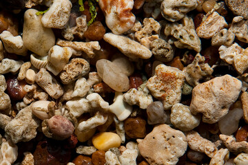 Colorful pebbles on a beach in Sri Lanka
