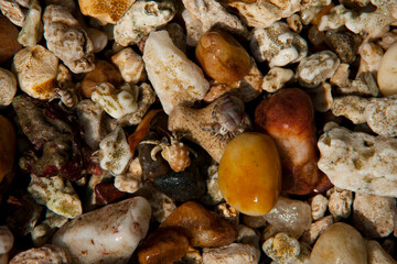 Colorful pebbles on a beach in Sri Lanka