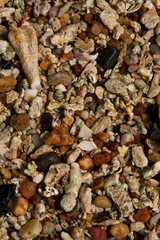 Colorful pebbles on a beach in Sri Lanka
