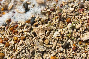 Colorful pebbles on a beach in Sri Lanka