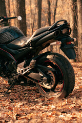 Black stylish sport motorcycle in autumn forest.