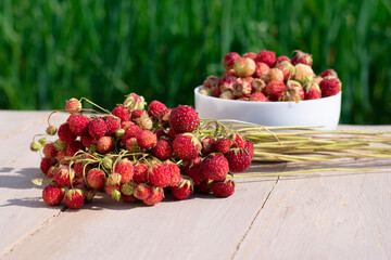 Wild strawberries on stems on wooden table and bokeh green blurred background. Hard dark shadows because of bright summer sunlight.