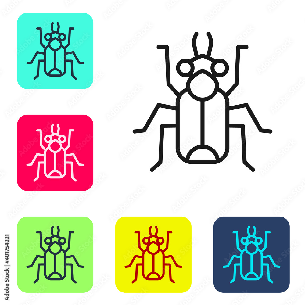 Poster black line beetle bug icon isolated on white background. set icons in color square buttons. vector.