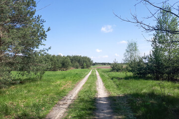 Fototapeta na wymiar path in the countryside