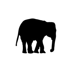 Fototapeta premium Elephant silhouettes black color on white background. Vector illustration.