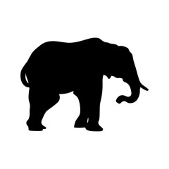 Elephant silhouettes black color on white background. Vector illustration.