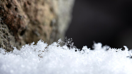winter card, crystals of snow, winter photo