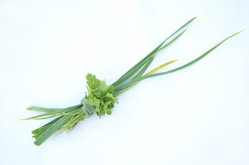the green ripe garlic leaves with coriander isolated on white background.