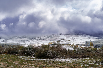 Snowstorm sky landscape over countryside and snowy trees. Dirt road to the mountain.
