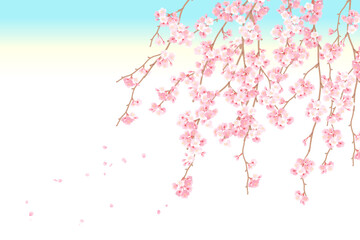 枝垂れ桜の背景ベクターイラスト