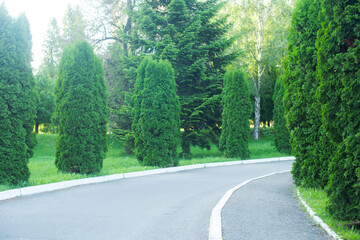 Obraz premium edges from the road. road in the park. travel through the park. a trip out of town