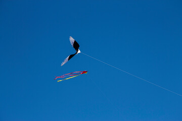 Colorful flying kite fly in the blue sky