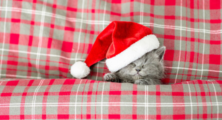 Cute kitten wearing red santa's hat sleeps under a warm checkered or tartan blanket on a bed. Top...