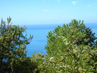 Cinque Terre, Italy - 09/02/2020: Beautiful landscape of a coastal fishing village, amazing view on many little colorful houses, traditional architecture of the little Italian town called Cinque Terre