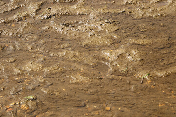 Ground level close up of mud and water sloshing down a stream