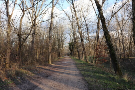 Le parc de la Feyssine en hiver, grand espace vert au bord du fleuve Rh&ocirc;ne, ville de Villeurbanne, d&eacute;partement du Rh&ocirc;ne, France