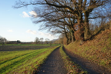 Obraz premium Winterlandschaft mit Sonnenuntergang - sunset