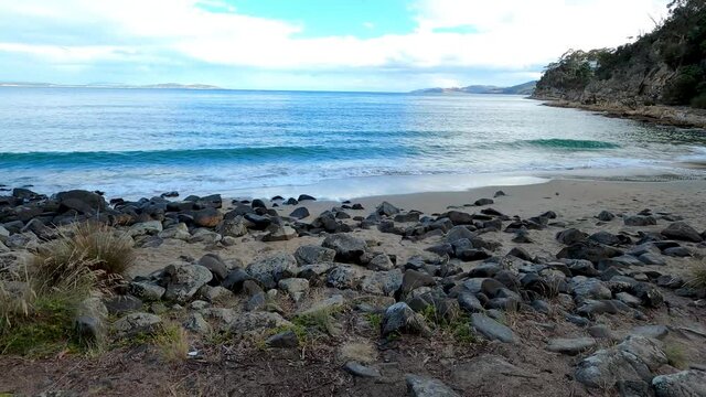 pristine wild landscape at Boronia Beach in Tasmania, Australia with lush vegetation and rocks on the shore