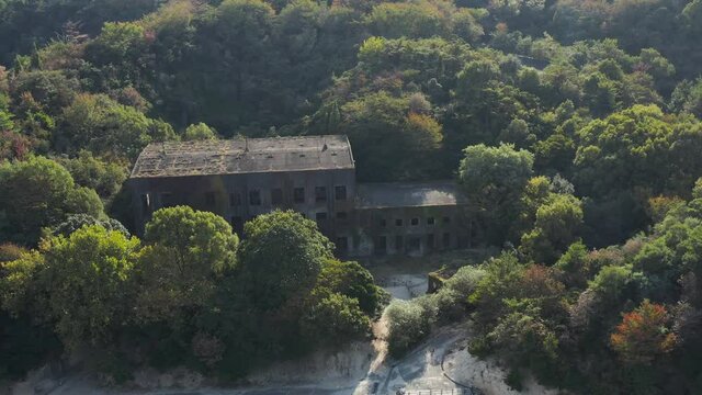 Okunoshima Rabbit Island in Japan. Aerial Pan Establishing Shot