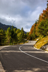  Europe. Asphalt road