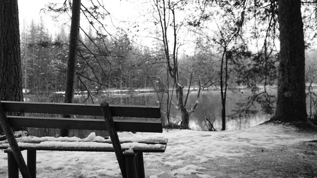 Bank der Gedanken