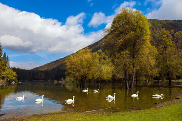 Fototapeta premium Lovely quiet lake in the Dolomites