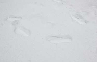 Footprint In white snow filed.
