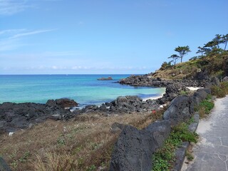 Fototapeta na wymiar Jeju Island, beach, sea, cloud, black stone, rock, blue sky, Sunshine, tree, peace, horizon, emerald color, Korea