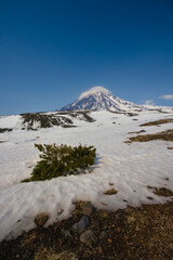 Fototapeta na wymiar Koryakskaya Sopka: an active volcano on the Kamchatka Peninsula