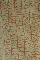 runic script