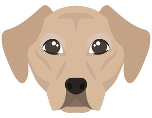 Head of Labrador Retriever. Purebred dog in cartoon style.
