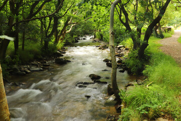 Fototapeta premium Heddon river flowing through the valley and over rocky ground