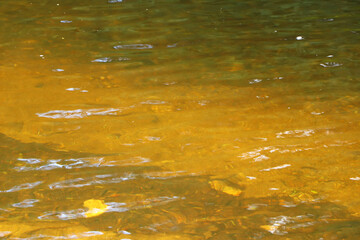 Rushing streams around Restormal Castle in Cornwall