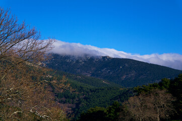 Fototapeta na wymiar krajobraz góry las niebo drzewa natura