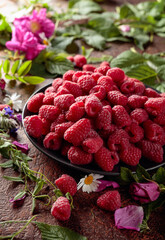 Summer still life with, raspberries, flowers and meadow grasses.