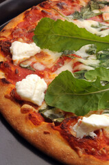 Pizza rucola e stracchino ft0212_2806 Pizza s rukolou a syrom stracchino.