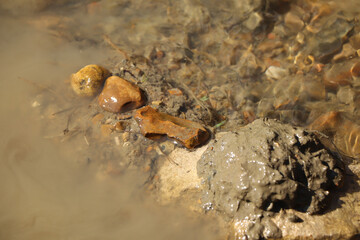 Ground level close up of mud and water sloshing down a stream