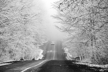 Beautiful winter landscape in the european forest. Snow on the trees.
Enigmatic and amazing winter nature in black and white. Frosted trees branches.
