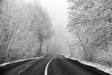 Beautiful winter landscape in the european forest. Snow on the trees.
Enigmatic and amazing winter nature in black and white. Frosted trees branches.
