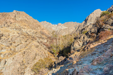 Fototapeta na wymiar Barren mountain in Darband valley in autumn in the morning against blue sky in the Tochal mountain. A popular recreational region for Tehran's residents
