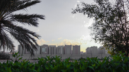 UAE Abudhabi city skyline with palm trees Mussafah