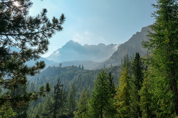 A panoramic view on a valley in Italian Dolomites. The lower parts of the valley are completely overgrown with dense forest. In the back there are high and sharp mountain chains. Bright and sunny day
