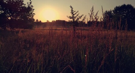 Wschód słońca © Krystian