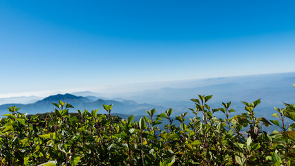 Trees and mountains and the sky at Kio Mae Pan Chiang Mai Thailand