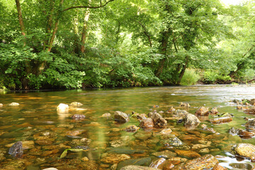 Clear waters of a Cornish stream showing the muddy brown stones underneath