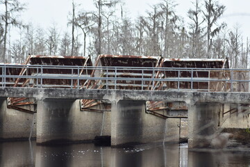 Okefenokee Abandoned swamp concrete steel flood control dam 