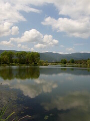 Obraz premium 水に映る風景