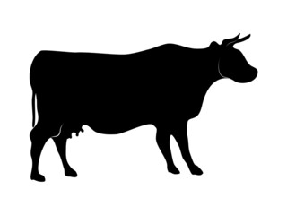 Black silhouette cow isolated on white background. vector illustration