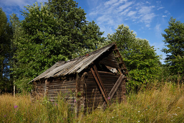 Abandoned overgrown with trees and grass wooden old ruined barn in a field in a Russian village